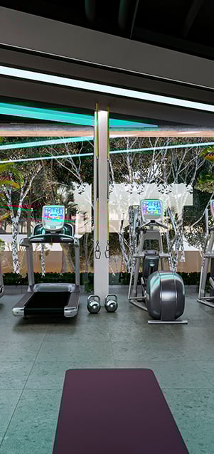 Gym 301x638