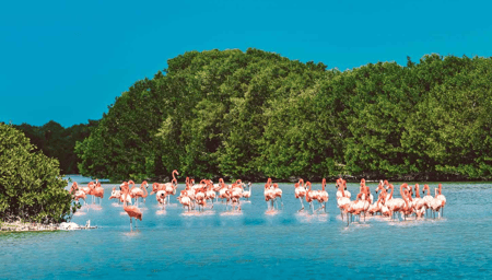 5 Actividades de lujo en Mérida para este verano Actividades de lujo en Mérida para este verano