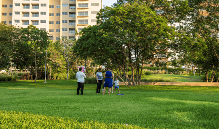 parque central vm