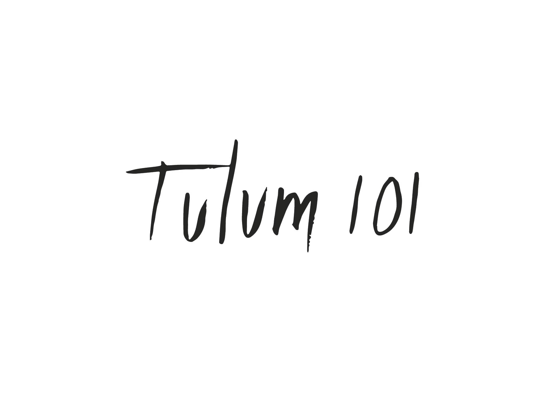 Tulum 101 