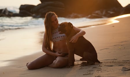 adult-animal-beach-319899