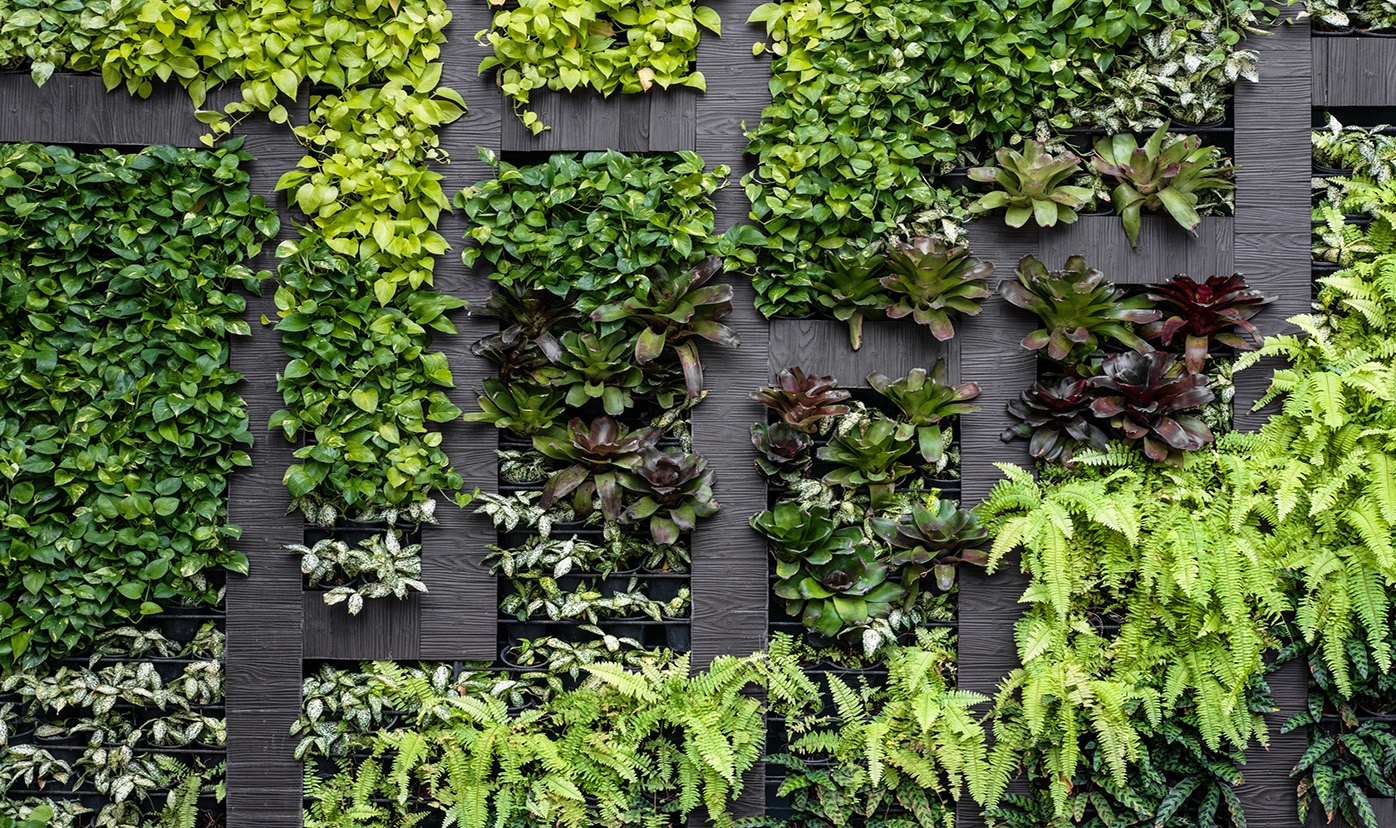 pared-verde-sustentable-merida.jpg