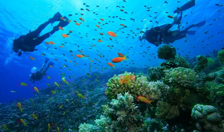 bp-preview-turismo-responsable-en-belice.jpg