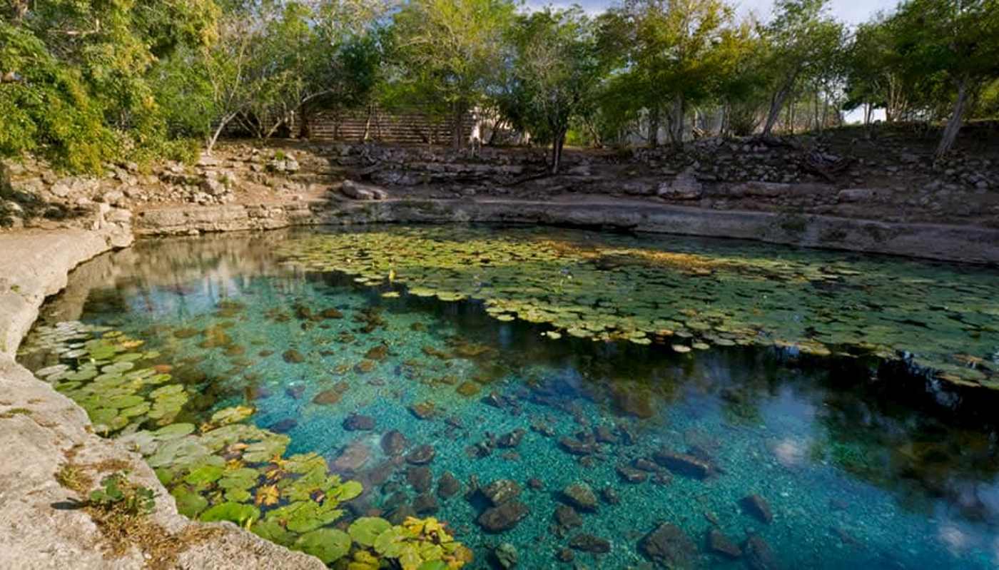 Cenotes en Mérida